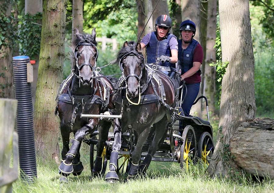 British Carriage Driving News